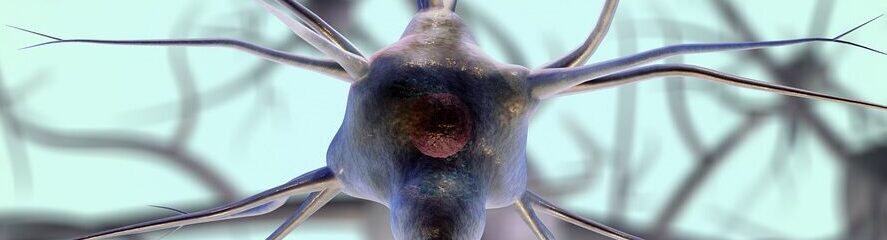 How Do Neurons Communicate? Action Potentials (Part 1)